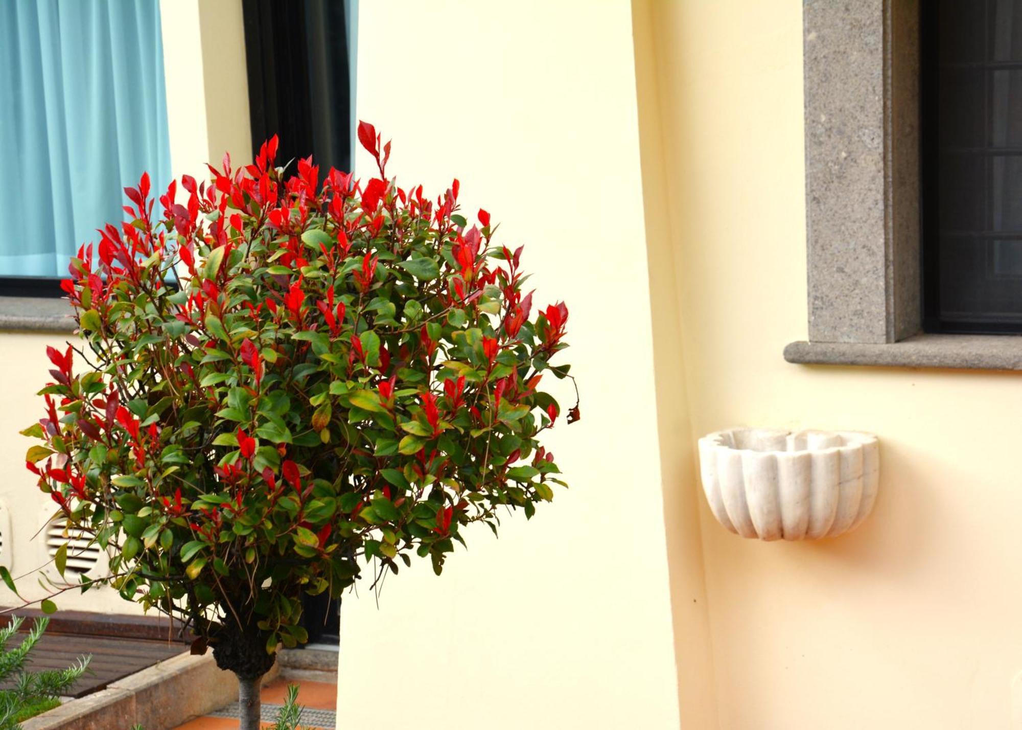 Gemelli Hotel Rome Bagian luar foto